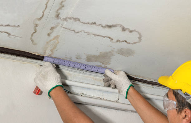 Reliable Water Damage contractor in Smithers, WV by Water Damage Irwin